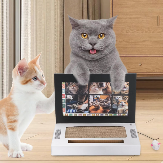 ScratchPad - Cat Scratch Laptop 🐾
