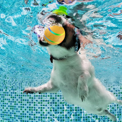 DogBall™ Smart ball for pets