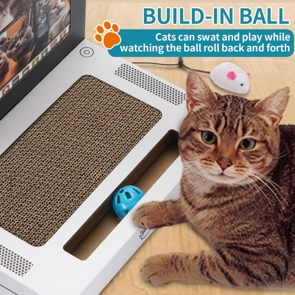 ScratchPad - Cat Scratch Laptop 🐾