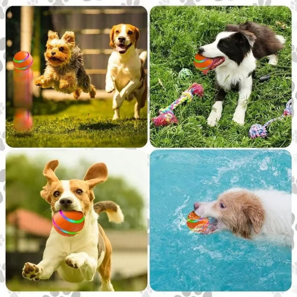 DogBall™ Smart ball for pets